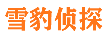 景谷寻人公司